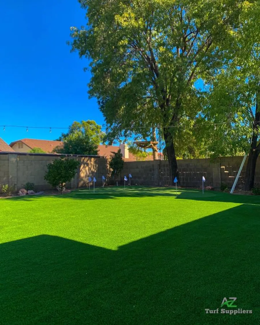 Putting Green & Artificial Turf