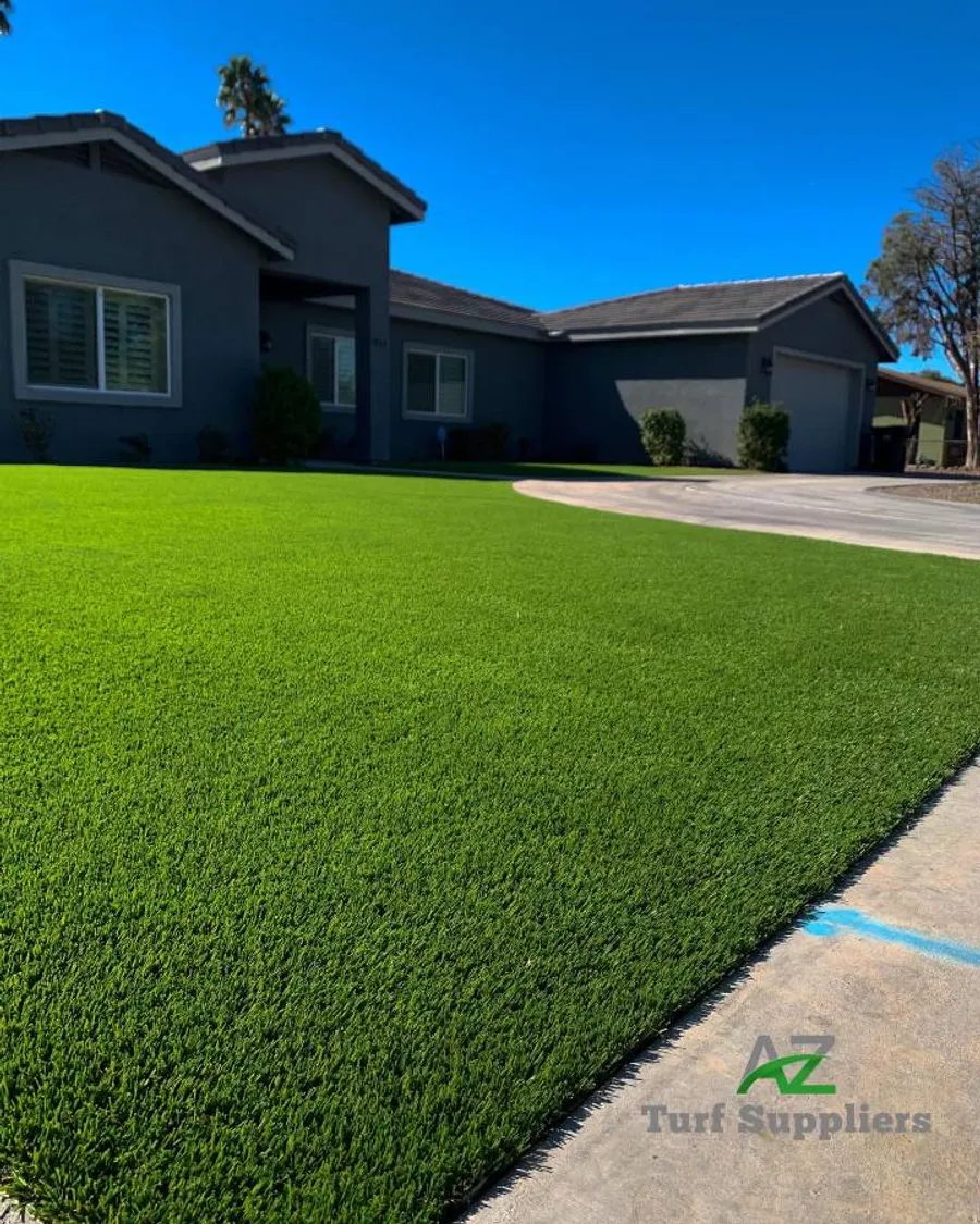 Artificial Turf