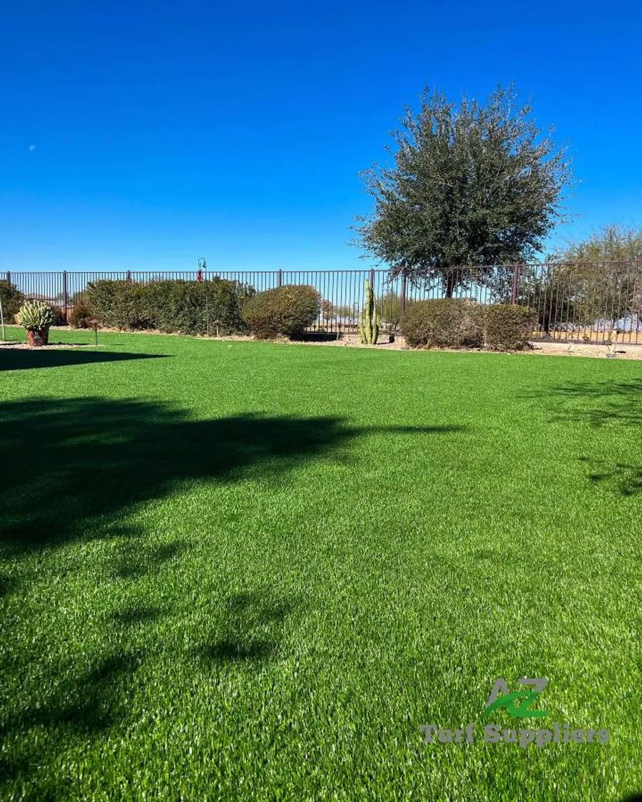 Artificial Turf