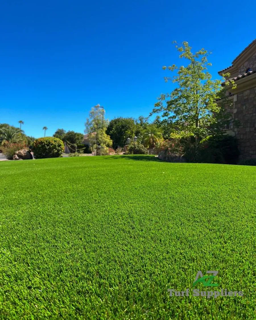 Artificial Turf
