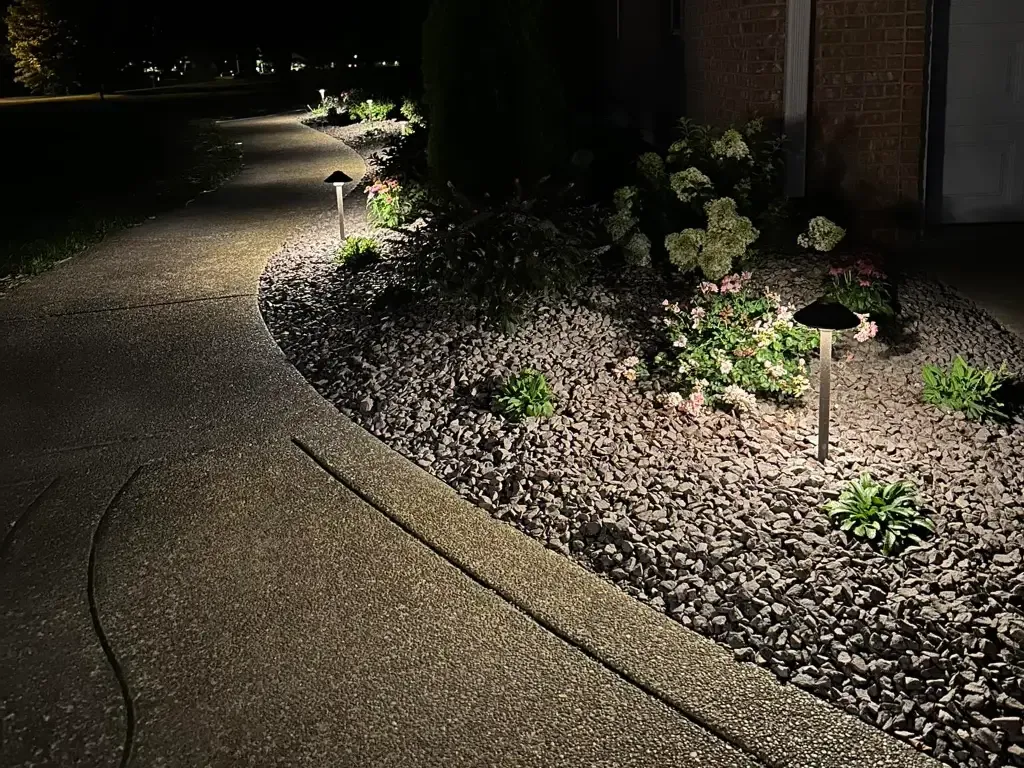 Professional landscape lighting installation