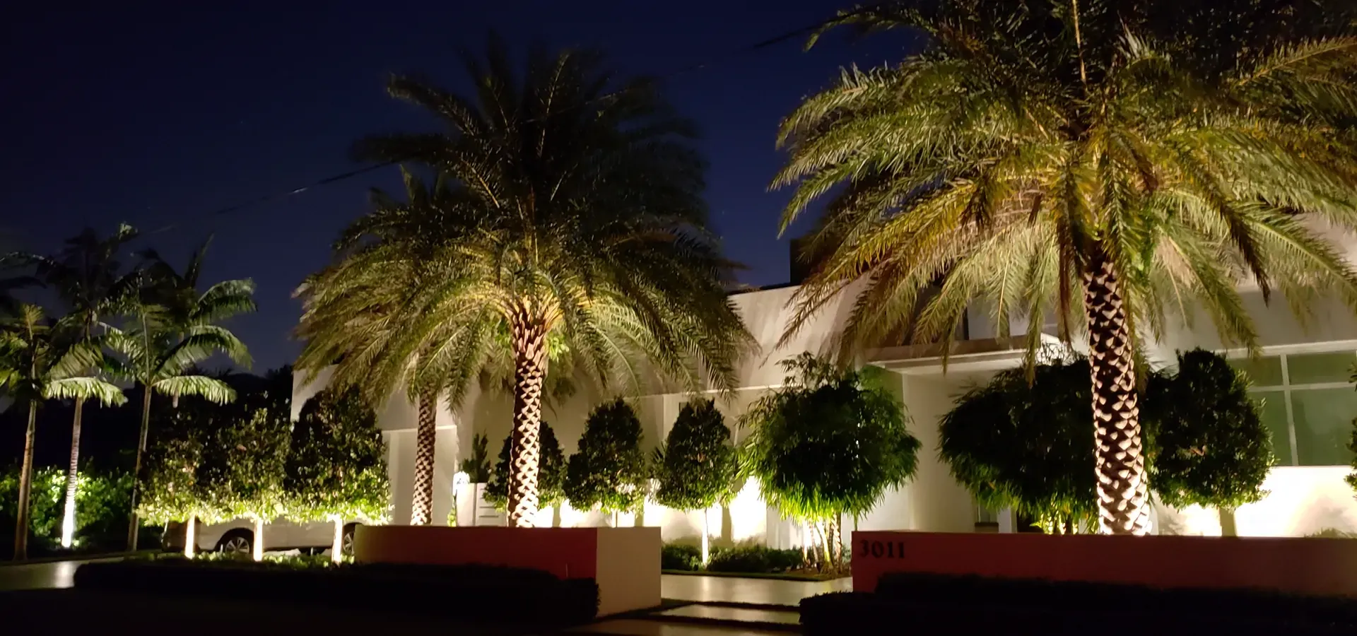 In-ground well lights in landscape